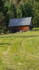 Byggeland Til salgs Scărisoara 